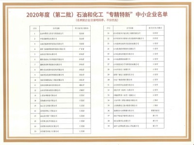 飛揚(yáng)駿研-2020石油化工專(zhuān)精特新中小企業(yè)名單
